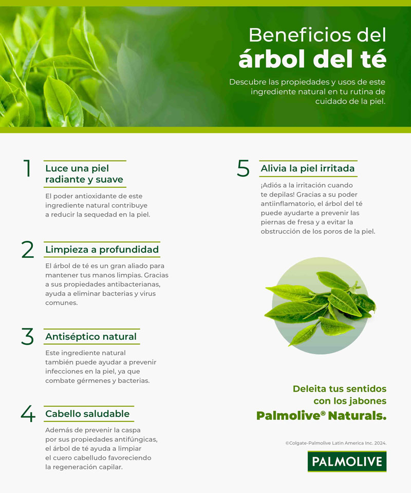 infografía sobre los beneficios del árbol de té para el cuidado de la piel