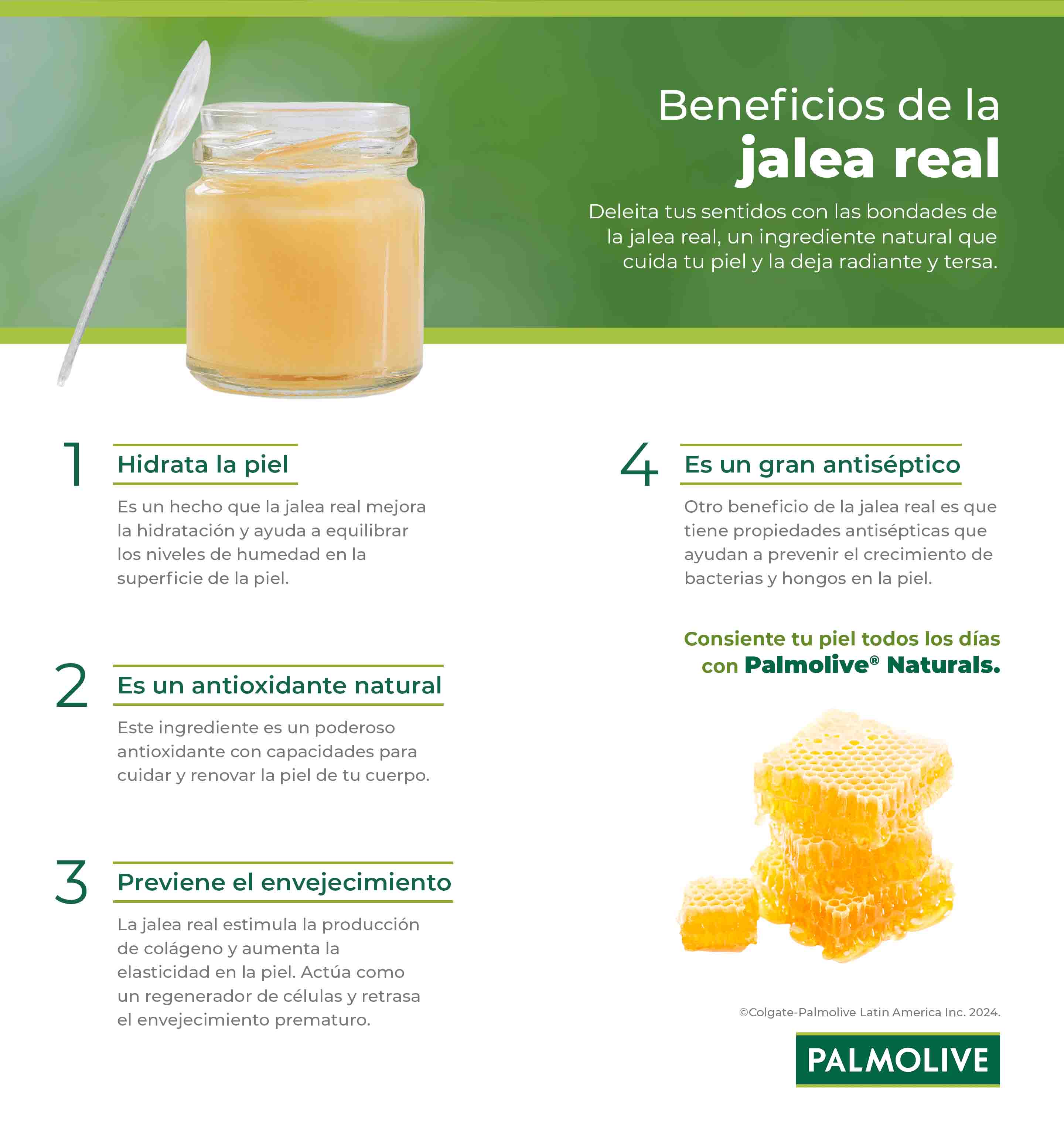 Infografía de beneficios de la jalea real para el cuidado de la piel