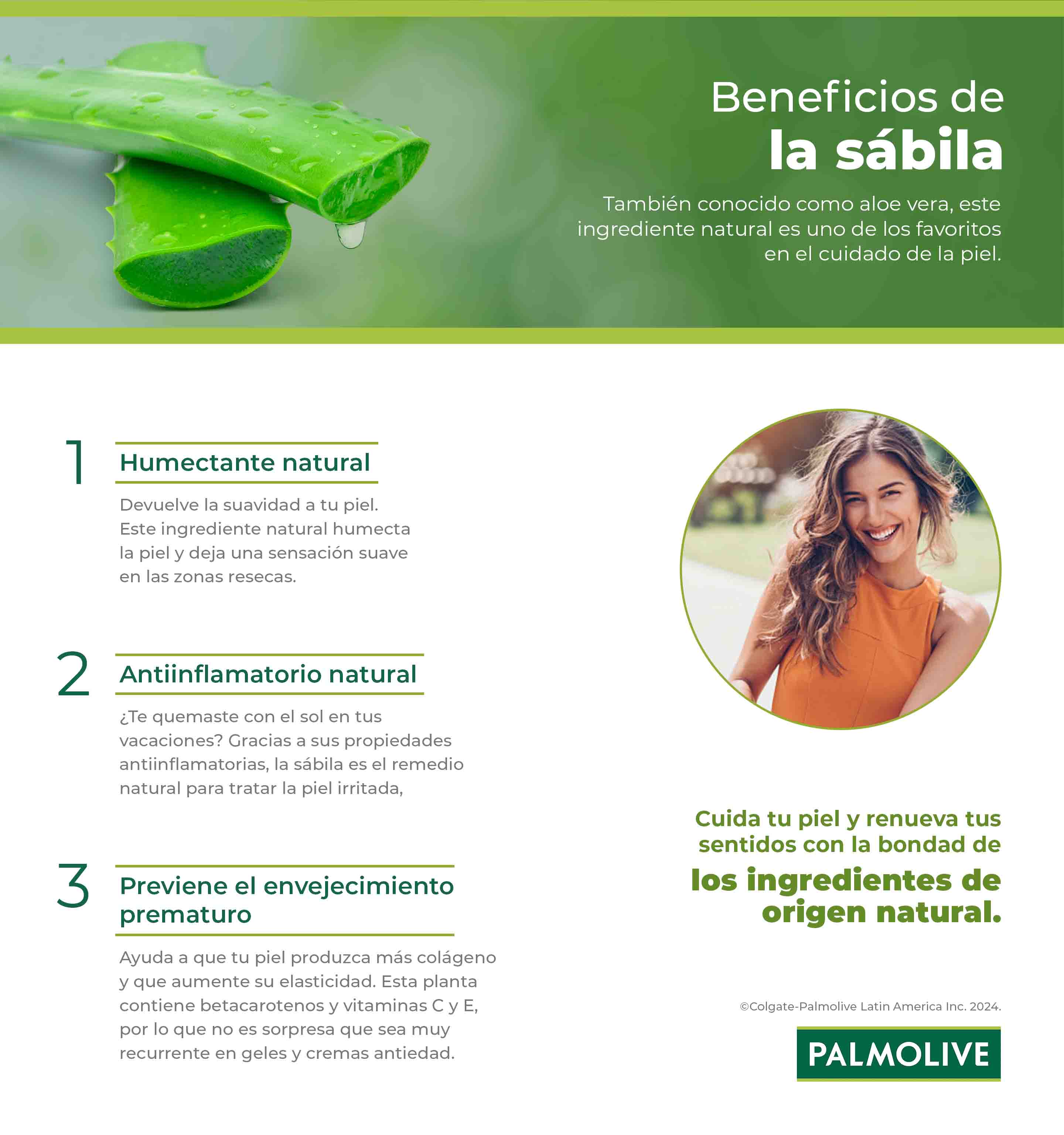 Beneficios de la sábila