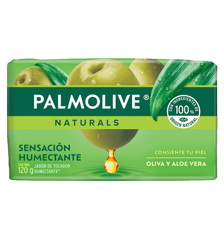 agave online kaufen AGAVE VICTORIAE REGINAE WHITE RHINO online kaufen– potflourri