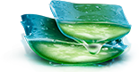 Ingrediente Agave Azul Ingrediente Agave Azul