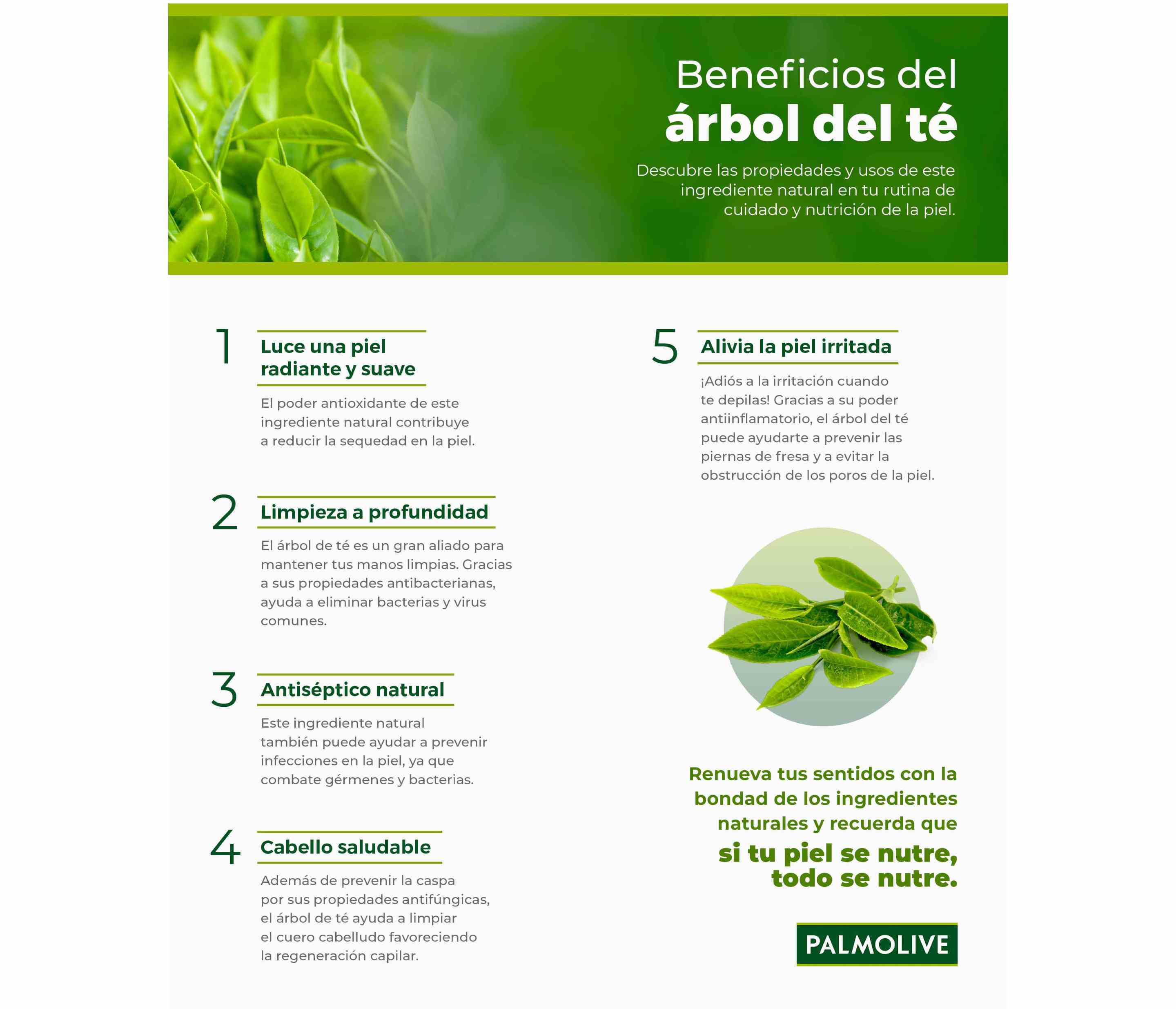 infografía sobre los beneficios del árbol de té para el cuidado de la piel