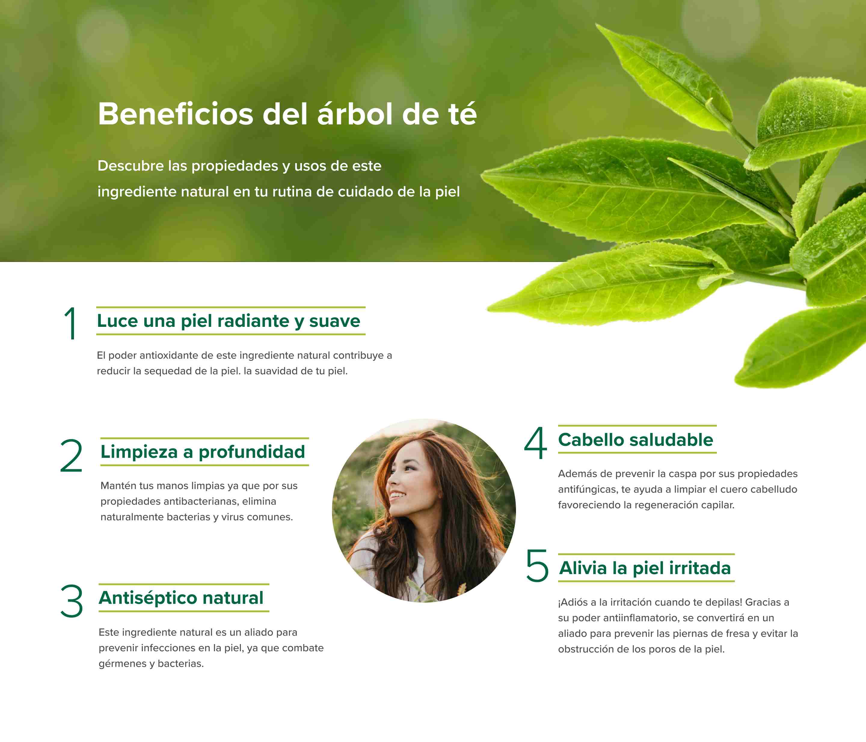 infografía sobre los beneficios del árbol de té para el cuidado de la piel
