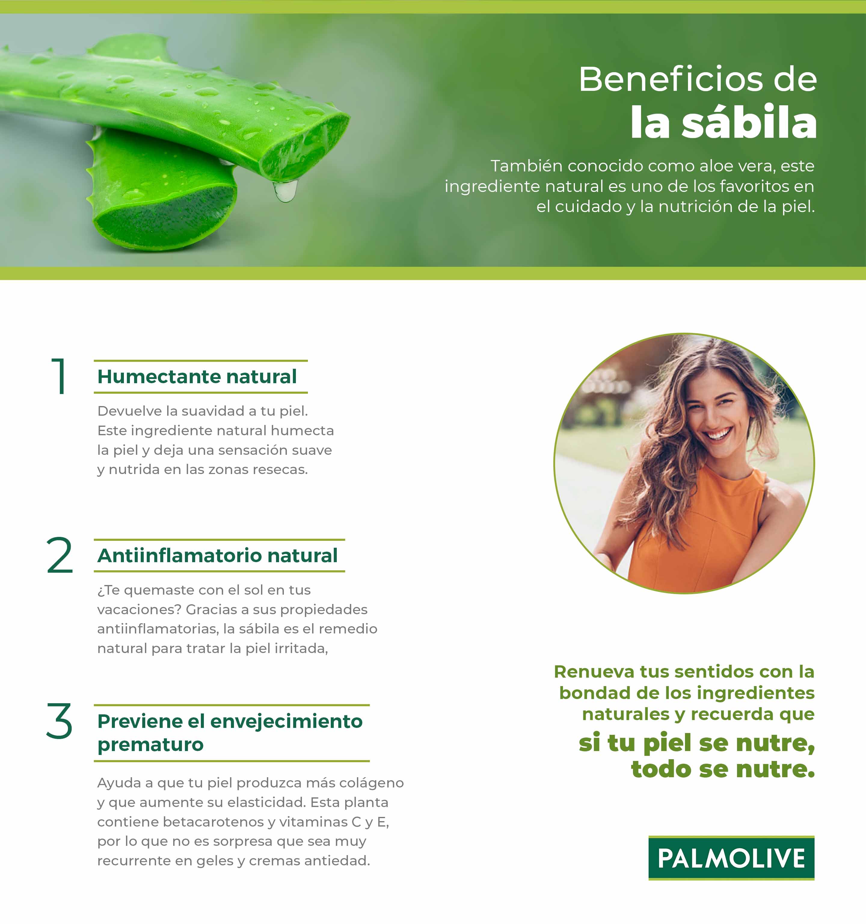 Infografía sobre los beneficios de la sabila en la piel Beneficios de la sabila para tu piel