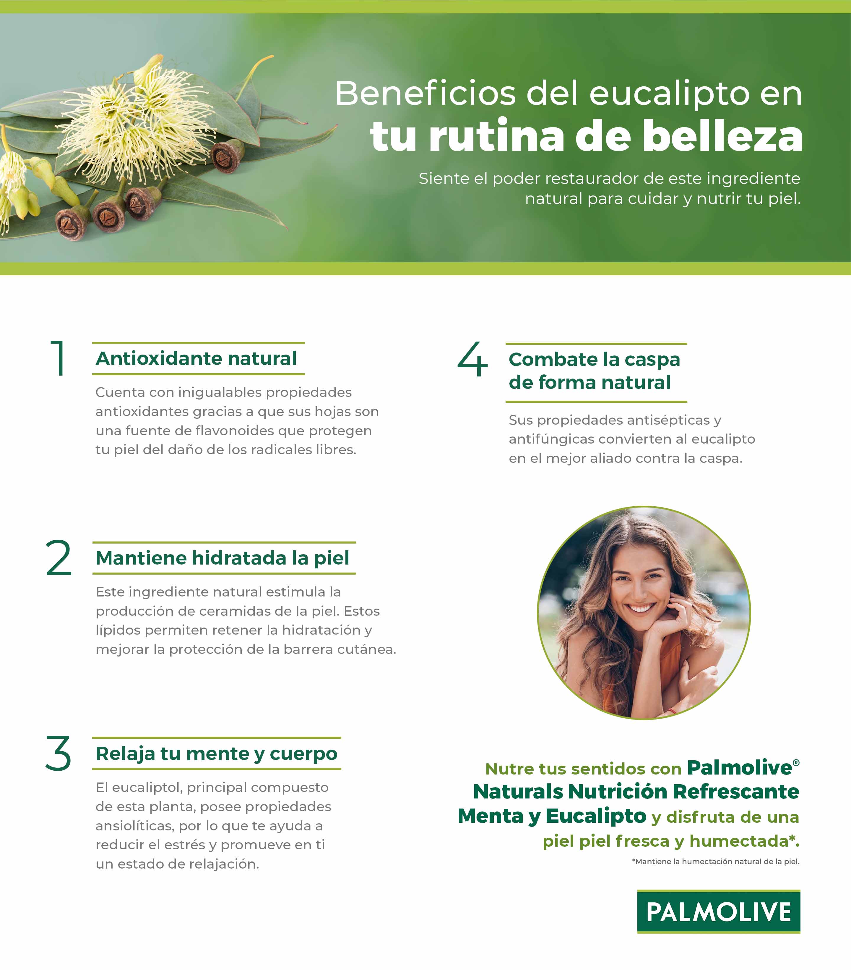 infografía sobre los beneficios del eucalipto para el cuerpo y la mente