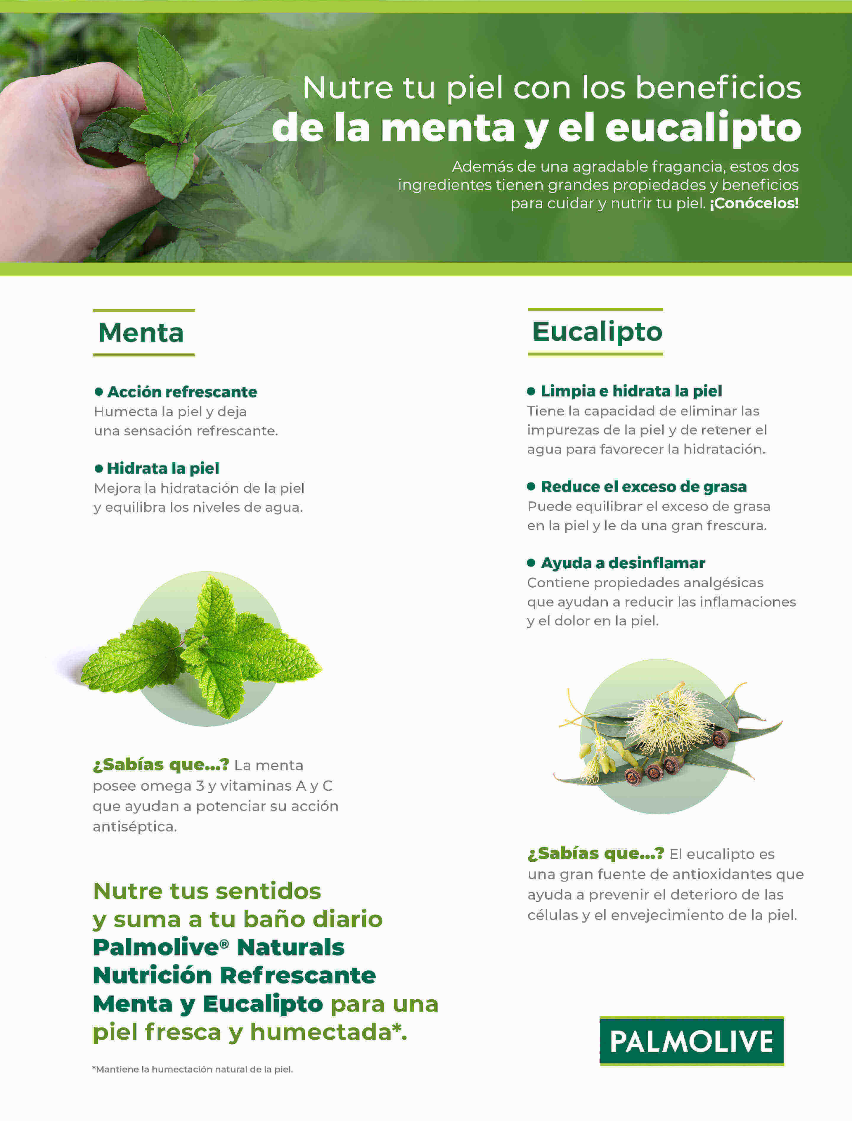 Beneficios para tu piel de la menta y eucalipto