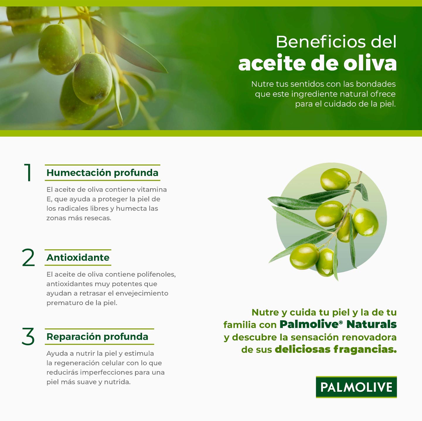 infografía sobre los beneficios del aceite de oliva para el cuidado de la piel