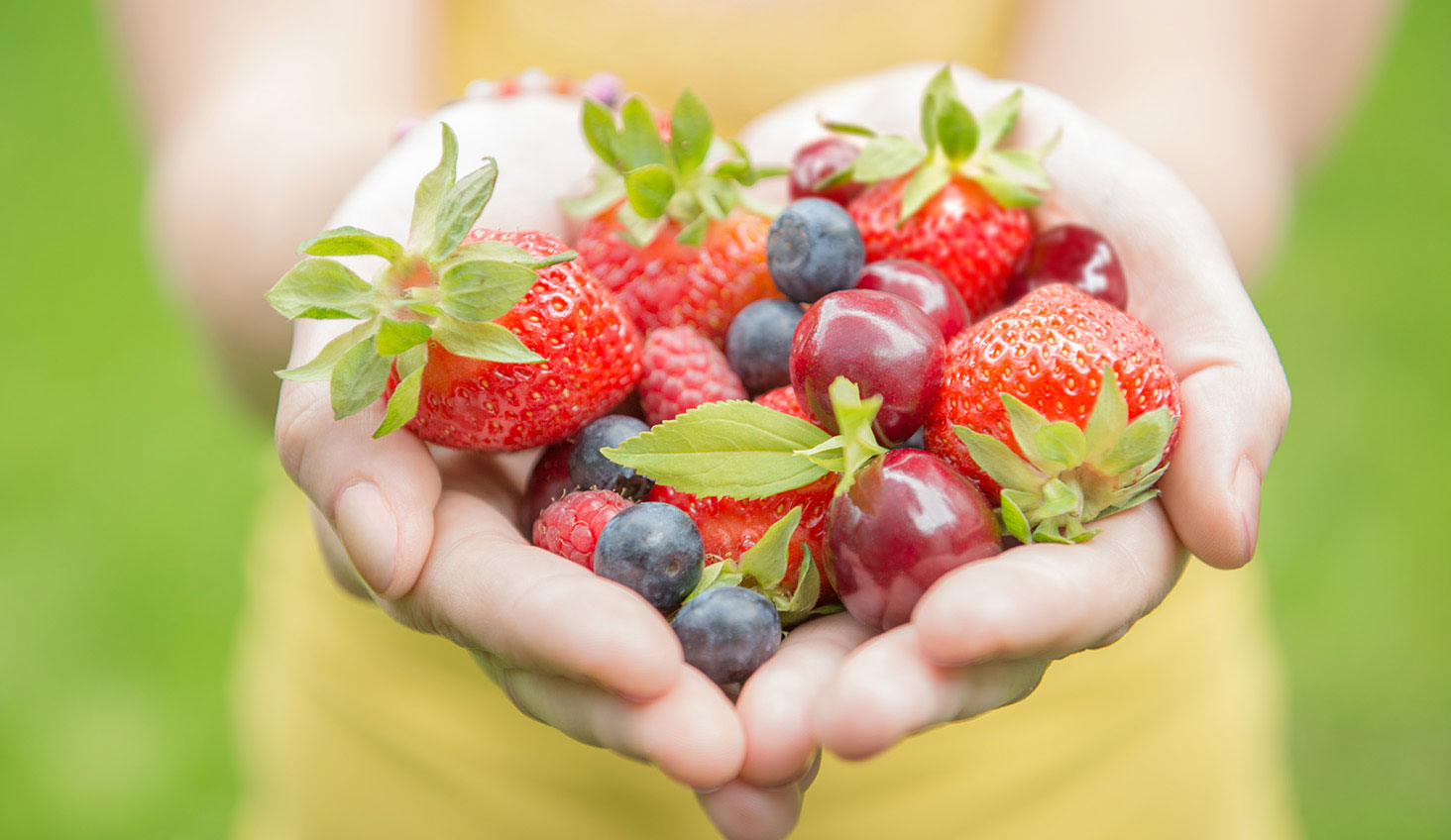 Ingredientes frutos rojos