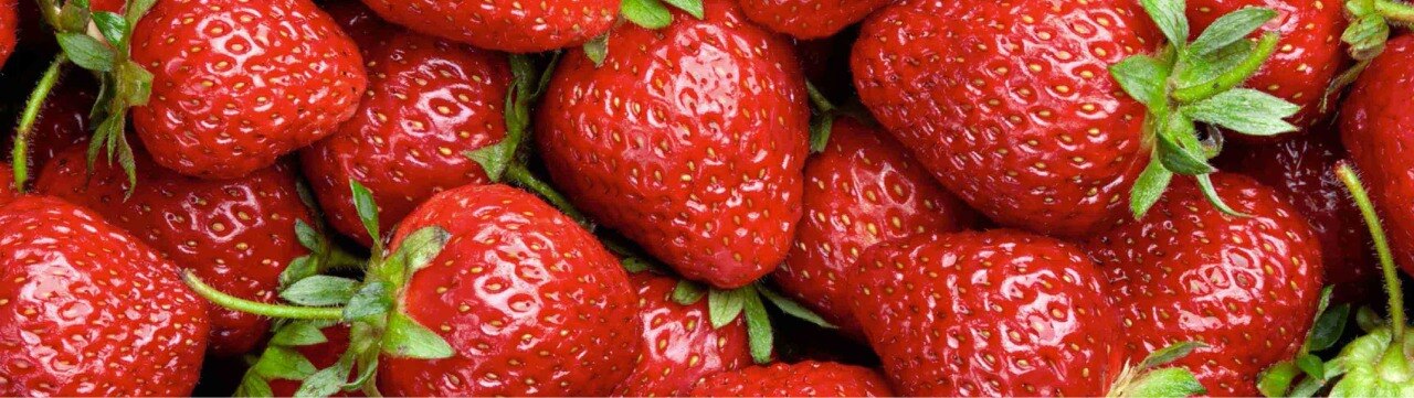 mascarillas nutritivas y deliciosas mascarillas nutritivas y deliciosas