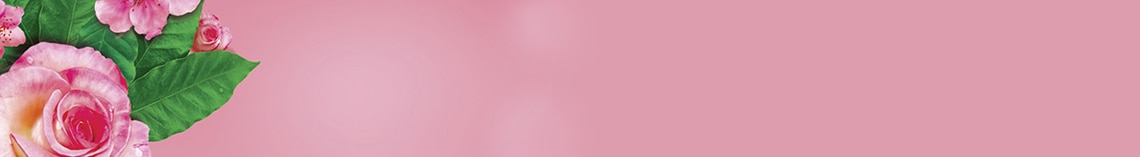 Jabón Líquido para manos Palmolive Cerezo y Rosa Jabón Líquido para manos Palmolive Cerezo y Rosa