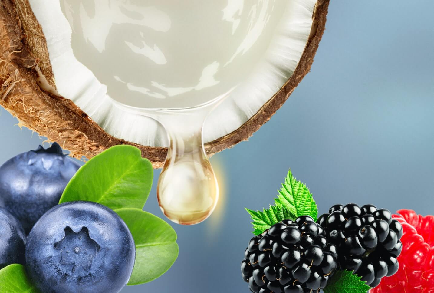 frutos del bosque y agua de coco frutos del bosque y agua de coco