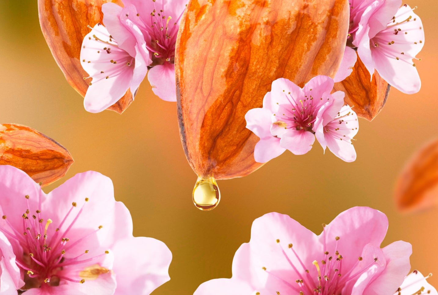 ingredientes fusion nutritiva almendra y omega ingredientes fusion nutritiva almendra y omega