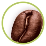 Café Grano de café entero enmarcado en un círculo verde, representando el ingrediente natural presente en el jabón Palmolive